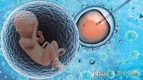 关于专业供卵代怀服务